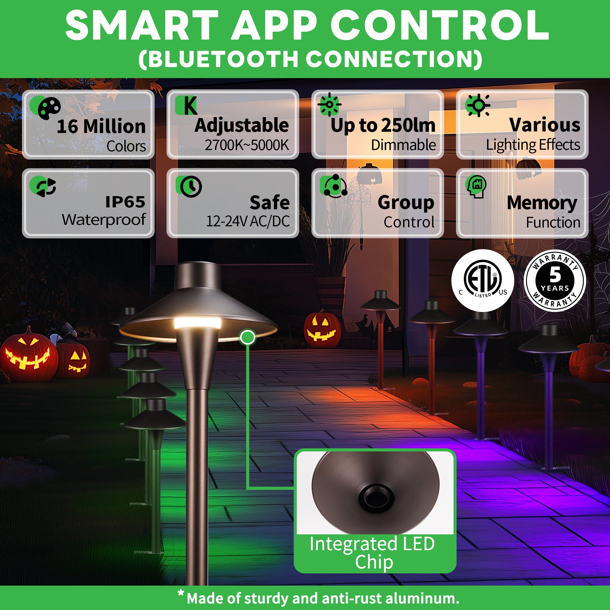 RGBCW outdoor pathway lights