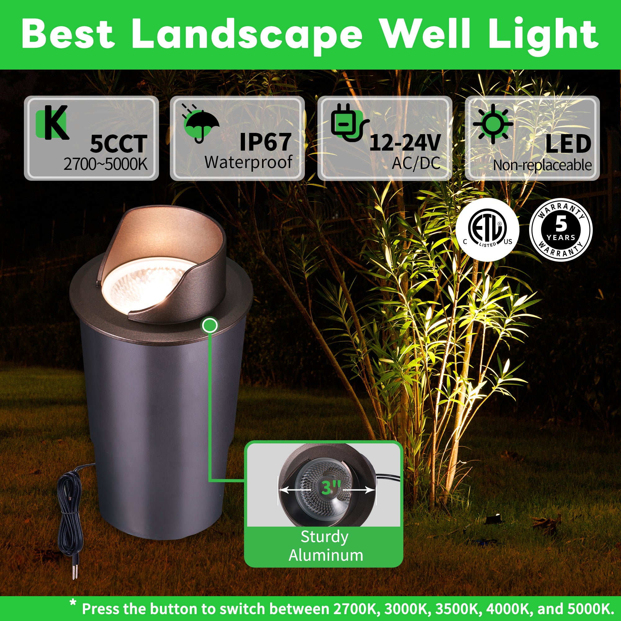 low_voltage_well_lights_for_landscapin-1