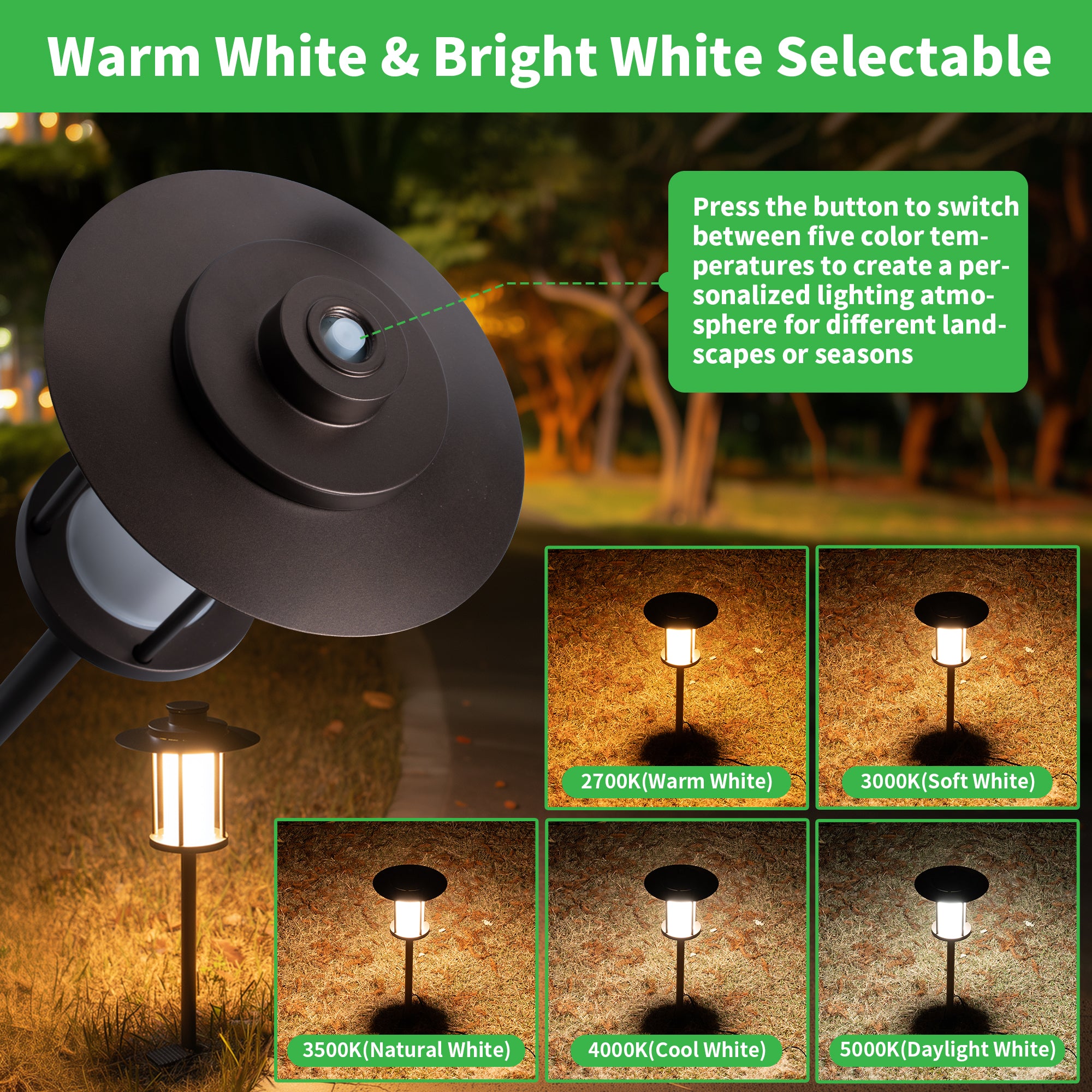 pathway lights low voltage oil bronze