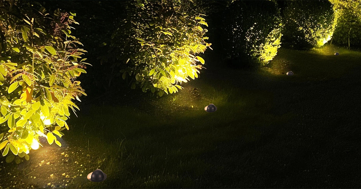 Well Light Tree Well lights videos – Varmtalys Lighting