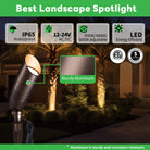 3cct low voltage spotlight