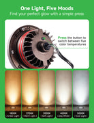 5CCT color temperature chart showing 1800K to 5000K range options from warm candlelight to cool daylight
