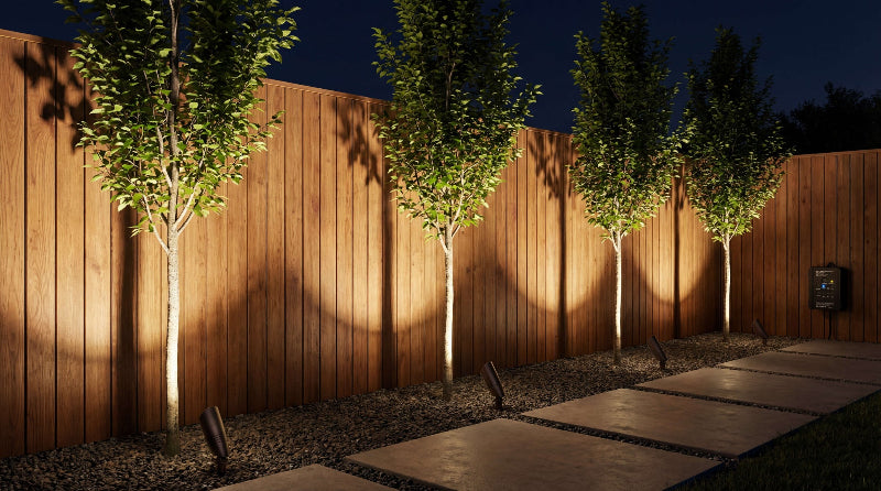 Backyard fence and small trees highlighted with low voltage spotlights, creating soft accent lighting along a garden path at night.