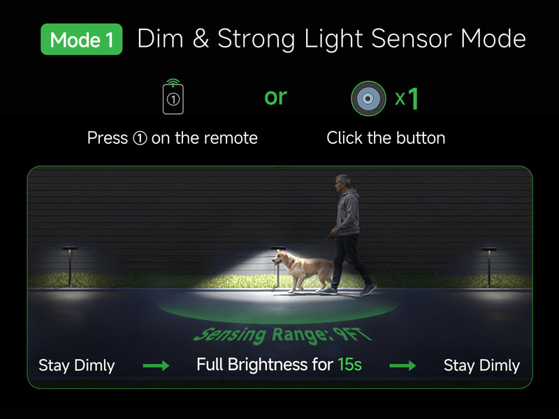Solar Motion Sensor Pathway Lights (3401) - Features 2