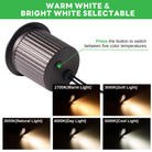 well_light